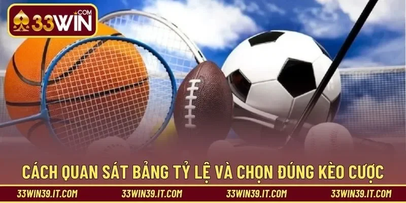 Cách quan sát bảng tỷ lệ và chọn đúng kèo cược