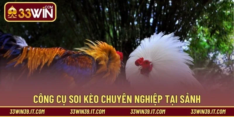 Công cụ soi kèo chuyên nghiệp tại sảnh